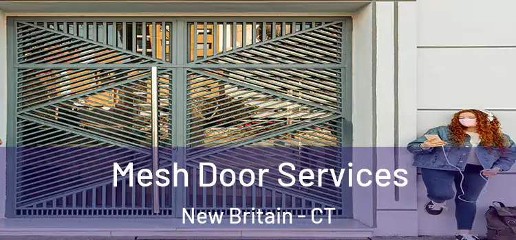  Mesh Door Services New Britain - CT